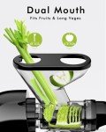 Compact Cold Press Juicer for Fruits and Vegetables