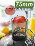 1200W Dual Speed Centrifugal Juicer Machine