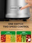 1200W Dual Speed Centrifugal Juicer Machine