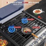 Camplux 21" RV Gas Range with 3 Burners