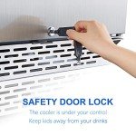 Phiestina 24" Indoor/Outdoor Beverage Refrigerator Cooler