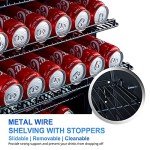 Phiestina 24" Indoor/Outdoor Beverage Refrigerator Cooler