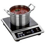 ChangBERT Commercial Induction Cooktop with Timer