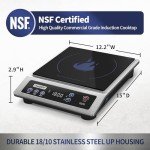 ChangBERT Commercial Induction Cooktop with Timer