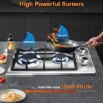 2-Burner Propane Cooktop - 12 Inch Stainless Steel
