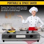 Stainless Steel Double Burner Propane Cooktop