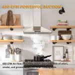 FIREGAS 30" Wall Mount Range Hood with Fan