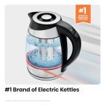 Gold Tea Pot with Infuser and Strainer Set