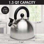 Primula Stewart Whistling Stainless Steel Tea Kettle