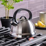 Mr. Coffee Carterton Stainless Steel Whistling Kettle