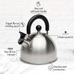Primula Stewart Whistling Stainless Steel Tea Kettle