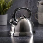Mr. Coffee Carterton Stainless Steel Whistling Kettle