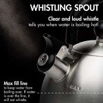 Primula Stewart Whistling Stainless Steel Tea Kettle