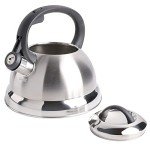 Mr. Coffee Carterton Stainless Steel Whistling Kettle