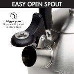 Primula Stewart Whistling Stainless Steel Tea Kettle