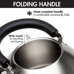 Primula Stewart Whistling Stainless Steel Tea Kettle
