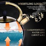 SUSTEAS Stainless Steel Teapot with Silicone Glove