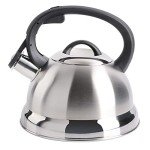 Mr. Coffee Carterton Stainless Steel Whistling Kettle