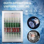 6-Bottle Beverage Refrigerator