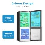 Saeoola Mini Fridge with Bottom Freezer, 4.0 Cu.Ft