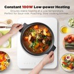 Ultra-Thin Portable Induction Cooktop with Timer