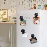 Heavy-Duty Black Magnetic Clips - 12 Pack