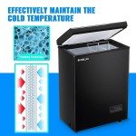 Demuller 4.0 Cu. Ft. Chest Freezer - Black