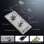 Hobsir 2 Burner Stainless Steel Gas Cooktop