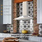 30" FIREGAS Stainless Steel Wall Mount Range Hood