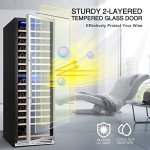 BODEGA 24-Inch Dual Zone Wine Cooler, 174 Bottles