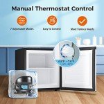 Kismile 1.1 Cu.ft Mini Upright Freezer, Stainless Steel