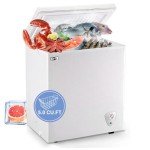 5.0 Cu.Ft Free-Standing Chest Deep Freezer