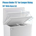 5.0 Cu.Ft Free-Standing Chest Deep Freezer