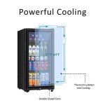 Saeoola 3.2 Cu.ft Mini Beverage Refrigerator - Black