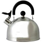 Mr. Coffee Carterton Stainless Steel Whistling Tea Kettle, 1.5-Quart, Mirror Polish