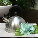 Mr. Coffee Carterton Stainless Steel Whistling Tea Kettle, 1.5-Quart, Mirror Polish