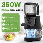 Cold Press Juicer, 6.2" Extra-Large Feeding Chute Juicer, 350W Slow Masticating Juicer Machines for Whole Fruits and Vegetables, Easy to Clean