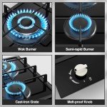 Gas Stove 2 Burner Propane Cooktop 12 inch, Nafewin Tempered Glass Gas Cooktop Gas stove Burner with Thermocouple Protection, Lpg/Ng Dual Fuel Built-in Gas Stove Top for Apartments, Outdoor, Rvs