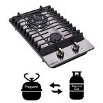 12 Inch Gas Cooktop, Built-in Stainless Steel 2 Burners Gas Stove Top LPG/NG Convertible Gas Cooktop Dual Fuel Gas Hob for RVs, Apartments, Outdoor DT223-01