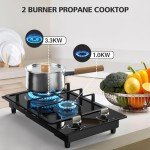 Gas Stove 2 Burner Propane Cooktop 12 inch, Nafewin Tempered Glass Gas Cooktop Gas stove Burner with Thermocouple Protection, Lpg/Ng Dual Fuel Built-in Gas Stove Top for Apartments, Outdoor, Rvs