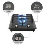 FVBADE 12 inch 2 Burners Gas Cooktop Stainless Steel Built-in Gas Stove with NG/LPG Convertible Dual Fuel with Thermocouple Protection for Kitchen，Outdoor, Camping, RV