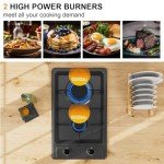 FVBADE 12 inch 2 Burners Gas Cooktop Stainless Steel Built-in Gas Stove with NG/LPG Convertible Dual Fuel with Thermocouple Protection for Kitchen，Outdoor, Camping, RV