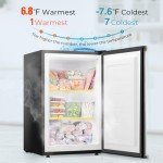 R.W.FLAME 3.0 Cu.Ft Upright Freezer with Reversible Single Door, Mini Freezer with Removable Shelves Small Freezer for Home Kitchen Office (3.0 Cu.ft, Stainless Steel)