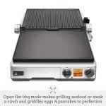 Breville the Smart Electric BBQ Grill, One Size, Brushed Stainless Steel