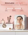 Mini Skincare Fridge with LED Light Mirror