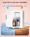 Mini Skincare Fridge with LED Light Mirror