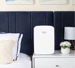 Cooluli 15L Portable Mini Fridge for Food & Drinks