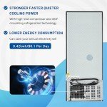 Compact Silver Refrigerator with Freezer, 4.0 Cu.ft