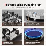 Gasland 12" 2-Burner Stainless Steel Gas Cooktop