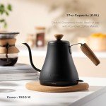 Bodum Melior Gooseneck Electric Kettle, Matte Black